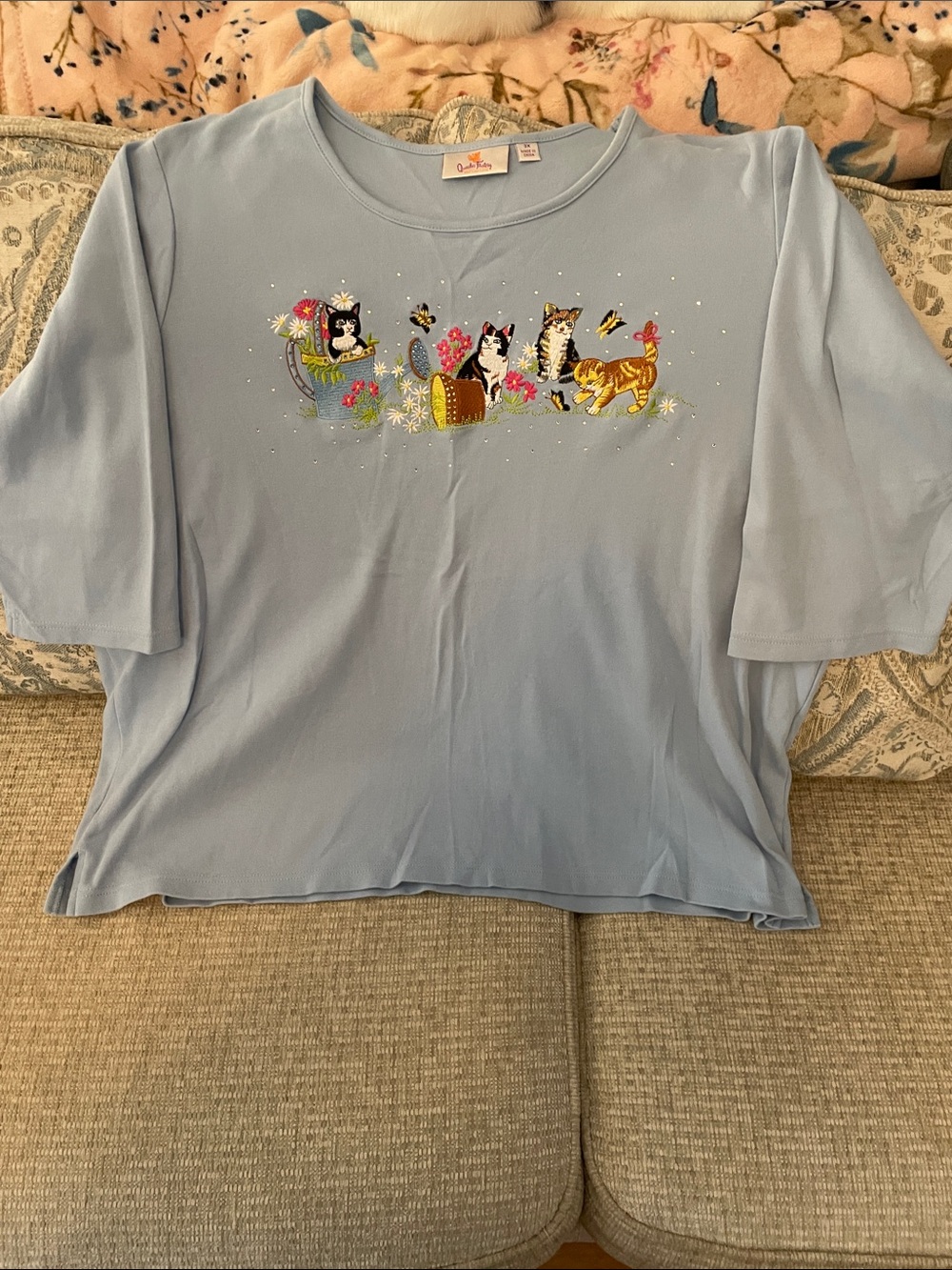 Quacker Factory Pastel Blue Tee with Colorful Cat Embroidery 3x and 3/4 sleeves